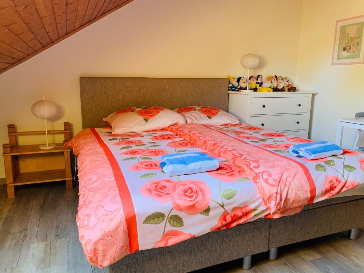 B&B Oostkapelle Aan Zee Zewnętrze zdjęcie